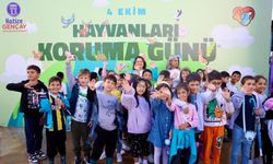 Elektronik atıklar sayesinde patili dostlar mama kazanıyor