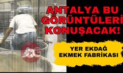Antalya bu görüntüleri konuşuyor… Bu görüntüler belediyenin fırınında çekildi