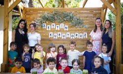 Ekiplerin topladığı zeytinleri minikler işledi
