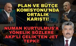 Plan ve Bütçe Komisyonu’nda ortalık karıştı! Numan Kurtulmuş'a yönelik sözlere AKP'li Çelik'ten jet tepki!