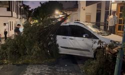 Antalya’da fırtına ağacı arabanın üstüne devirdi... Büyük çaplı hasar meydana geldi