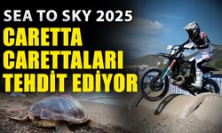 Sea to Sky 2025 caretta carettaları tehdit ediyor
