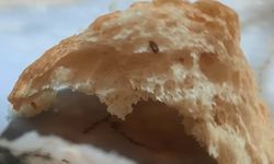 Pamukkale Halk Ekmek'in içerisinden çıkan şey şaşkınlık yarattı