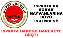 Isparta'da sokak hayvanlarına büyü işkencesi! Isparta Barosu harekete geçti