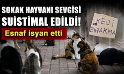 Sokak hayvanı sevgisi suistimal edildi! Esnaf isyan etti