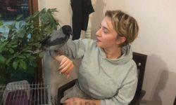 Kahvehane bağımlısı karga mahallenin maskotu haline geldi