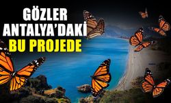 Antalya’daki Kelebek Vadisi ne zaman açılacak? Kelebek Vadisi açıldı mı?