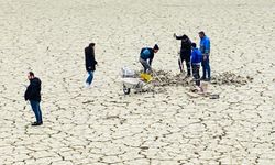 Kuruyan Kolak Gölü için hummalı çalışma