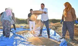 Manavgat susamında büyük başarı… Yurtdışında ilgi görüyor