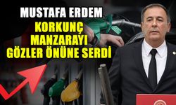 Mustafa Erdem korkunç manzarayı gözler önüne serdi