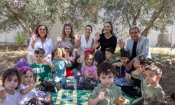 Manavgat'ta miniklerden zeytin hasadı