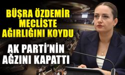 Büşra Özdemir meclise ağırlığını koydu! Ak Parti’nin ağzını kapattı