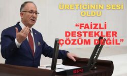 Milletvekili Kılıç, don felaketi sonrası çiftçinin sesi oldu... "Faizli destekler çözüm değil"