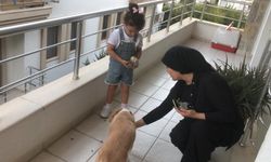 Minik Gökçe'den büyük örnek