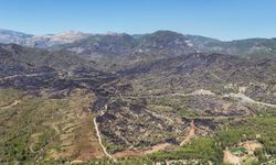Muğla’da yanan ormanlar yeniden yeşerecek!