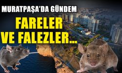 Muratpaşa’da gündem fareler ve falezler…