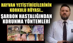 Hayvan yetiştiricilerinin korkulu rüyası…  Şarbon hastalığından korunma yöntemleri