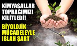 Kimyasallar toprağımızı kilitledi! Biyolojik mücadeleyle ıslah şart
