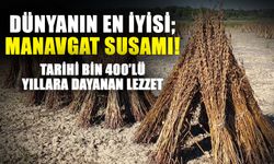 Dünyanın en iyisi; Manavgat susamı! Tarihi bin 400’lü yıllara dayanan lezzet