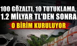 100 gözaltı, 10 tutuklama, 1.2 milyar TL'den sonra o birim kuruluyor