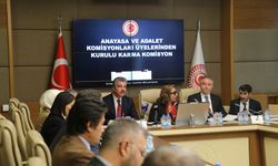 Serap Yazıcı Özbudun başkanlığında HSK alt komisyonu kuruldu