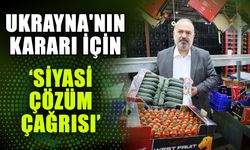 Ukrayna'nın kararı için ‘Siyasi çözüm çağrısı’