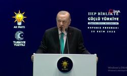 Cumhurbaşkanı Erdoğan: “Türkiye ’siz Hiçbir Denklem Kurulamıyor”