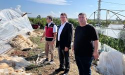 Yağmur ve rüzgardan zarar gören seralarda hasar tespiti
