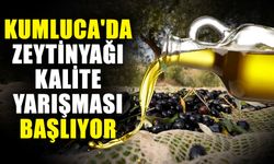Kumluca'da zeytinyağı kalite yarışması başlıyor
