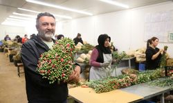 Avrupa ülkelerine 12 milyon dolarlık yılbaşı çiçeği