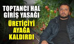 Çiftçi bırakıyor, seralar boş kalıyor! Üreticinin gelecek hayalleri tükendi