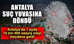 Antalya suç yuvasına döndü! Antalya'da 1 ayda 10 bin 900 asayiş olayı meydana geldi