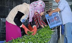 Antalya Ticaret Borsası ekim ayı hal endeksi açıklandı