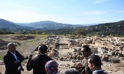 4 bin yıllık antik kentte zeytin hasadı