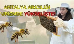 Antalya arıcılığında zirve yılı! Kovanlar ve bal üretimi artıyor