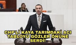 CHP'li Kaya tarımdaki acı tabloyu gözler önüne serdi!
