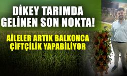 Dikey tarımda gelinen son nokta! Aileler artık balkonca çiftçilik yapabiliyor