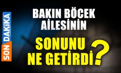 Bakın Böcek ailesinin sonunu ne getirdi?