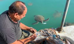 Caretta carettalar göç etmedi Mersin’i şenlendirdiler