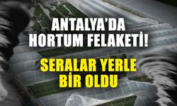 Antalya’da hortum felaketi! Seralar yerle bir oldu
