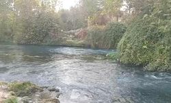 Düden Çayı’nda can pazarı