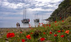 Dünyanın en güzel yürüyüş yolu belli oldu