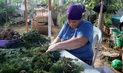 El emeği Noel çelenkleri 20 ülkeye ihraç ediliyor