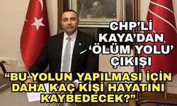 CHP'li Kaya'dan 'Ölüm yolu' çıkışı... "Bu yolun yapılması için daha kaç hemşehrimiz hayatını kaybedecek?"