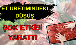 Türkiye’de kırmızı et üretimi yüzde 11,7 azaldı… Vatandaş ete hasret kaldı