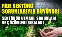 Fide sektörü sorunlarıyla büyüyor! Sektörün uzmanı, sorunları ve çözümleri sıraladı