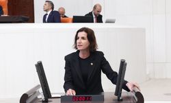 Aliye Coşar’dan Bakan Şimşek’e sert çıkış