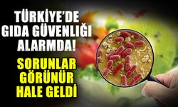 Türkiye’de gıda güvenliği alarmda! Sorunlar görünür hale geldi