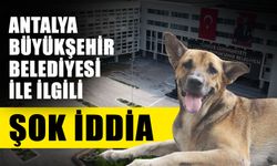 Antalya Büyükşehir Belediyesi ile ilgili şok iddia