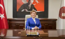 HSK üyeliğine seçilen isim belli oldu!